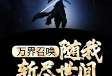 主角杨帝辰小说完结版在线阅读,万界召唤:随我斩尽世间一切神免费看-书格格