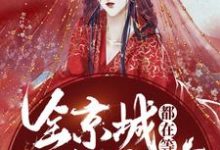 全京城都在等王妃和离小说最新更新在哪里?免费在线看-书格格