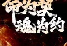 完结版《命为契,魂为约》在线免费阅读-书格格
