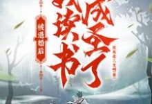 求被退婚后,我读书成圣了!小说免费资源-书格格