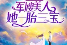 重生团宠:军嫂美人她一胎三宝这本小说完结了吗?免费查看最新章节-书格格