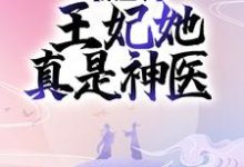 凤倾华战北霄小说在线章节免费阅读(禀王爷,王妃她真是神医无弹窗无删减)-书格格