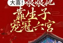 小说《大喜!娘娘她靠生子宠冠六宫》章节阅读-书格格