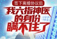 签下离婚协议后,我六指神医的身份瞒不住了 林悦叶可卿在线章节免费阅读-书格格