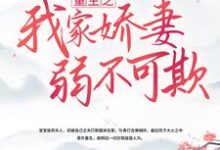 求 林姝 陆靖然小说免费资源-书格格
