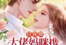 完整版的日夜撩,大佬妈咪携三宝诱他沦陷小说在哪里可以免费读到?-书格格
