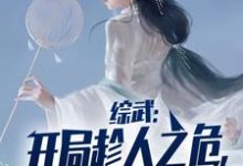 综武:开局趁人之危,解毒李寒衣!小说有没有完整的免费版本在线阅读?-书格格