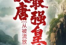 小说《大唐最强皇子:从被流放开始》在线章节阅读-书格格