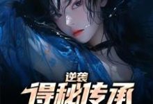逆袭:得秘传承反杀心机女小说的免费电子版在哪里可以下载或阅读?-书格格
