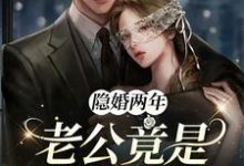隐婚两年,老公竟是千亿大佬免费阅读,隐婚两年,老公竟是千亿大佬章节在线阅读-书格格