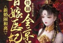 完结版《新婚闹和离!替嫁医妃炸翻全京城》章节阅读-书格格