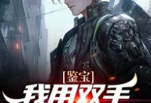 鉴宝:我用双手称霸学术界小说的免费阅读版本在哪里可以找到?-书格格
