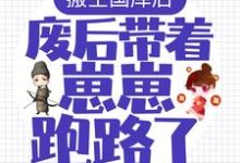 《搬空国库后,废后带着崽崽跑路了!》小说大结局免费试读 慕云卿萧景珩小说-书格格