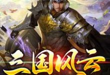 《三国风云之张续》全集免费在线阅读(张续张超)-书格格
