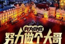 身为卧底，努力做个大哥不过分吧小说完结版章节免费阅读-书格格