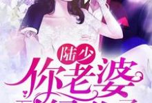 白七七陆绍珩为主角的小说陆少,你老婆又绿你了在线阅读-书格格