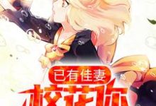 已有佳妻,校花你快放手吧顾辰时小说在线章节免费阅读-书格格