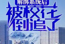 解绑系统后,被校花倒追了小说的免费阅读版本在哪里可以找到?-书格格