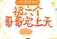 求推荐可以免费阅读小奶团改命后,被六个哥哥宠上天小说的网站-书格格