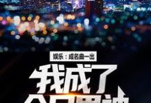 娱乐:成名曲一出,我成了全民男神这本小说完结了吗?免费查看最新章节-书格格