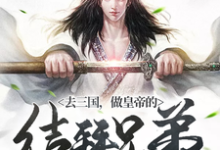 许松为主角的小说好看吗?免费读去三国,做皇帝的结拜兄弟-书格格