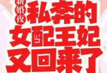 想读白娇娇的故事,哪里可以免费找到新婚夜,私奔的女配王妃又回来了?-书格格