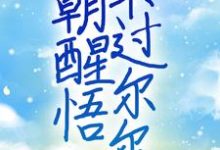 完结版《一朝醒悟,不过尔尔》章节目录在线阅读-书格格