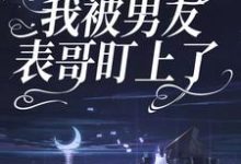 因为彩礼，我被男友表哥盯上了这本小说在哪里可以看？哪里有免费试读章节？-书格格