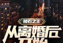 赌石之王从离婚后开始沈复，赌石之王从离婚后开始章节在线阅读-书格格