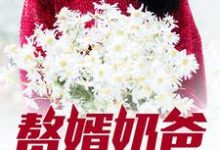 赘婿奶爸小说，赘婿奶爸在线阅读-书格格