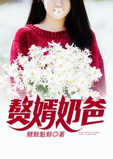 赘婿奶爸（潘伟林若然小茜宝）在线免费阅读