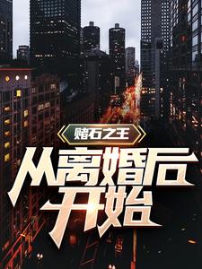 赌石之王从离婚后开始最新章节，赌石之王从离婚后开始章节在线阅读