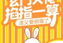 宁问问宁木苍的完整故事在哪里？读玄门大佬掐指一算，渣父要倒霉了小说-书格格