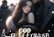 符婉沈铃铃为主角的小说叫什么?免费看重生后,我暴打脑残前夫一家-书格格
