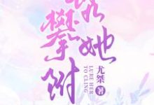 完结版《甜宠,禁欲总裁诱拐小秘书》在线免费阅读-书格格