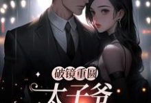 破镜重圆：太子爷他太霸道这本小说在哪里可以看？哪里有免费试读章节？-书格格