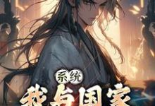系统:我与国家共享气运赵风,系统:我与国家共享气运小说免费阅读-书格格