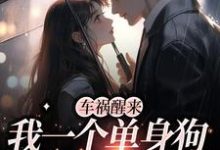 车祸醒来,我一个单身狗有了娃?小说,车祸醒来,我一个单身狗有了娃?许嘉禾宋沂-书格格