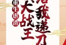 沐倾城凤焱小说在线章节免费阅读（我重生虐渣，忠犬战王给我递刀无弹窗无删减）-书格格