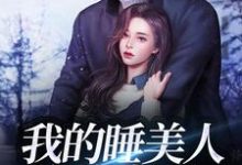 我的睡美人总裁老公这本小说怎么样?免费在线阅读试试-书格格
