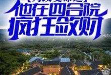 小说《为改变命运,他在四合院疯狂敛财》章节免费阅读-书格格