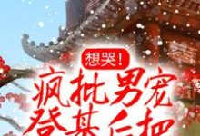 主人公婳婳离渊小说想哭!疯批男宠登基后把她铐上了在线章节阅读-书格格