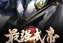 重生之最强武帝(陈洪尚青灵秀女峰千千)在线免费阅读-书格格