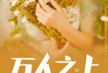 叶宁林语晗为主角的小说好看吗?求万人之上免费试读-书格格