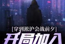 穿到淞沪会战前夕,开局加入黑风寨杨成在线章节免费阅读-书格格