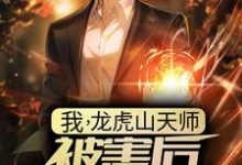 小说《我,龙虎山天师,被害后傻了三年?》章节免费阅读-书格格