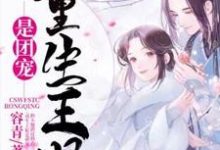 《重生王妃是团宠》全集免费在线阅读(乔荞陆风临林清雅秋月)-书格格