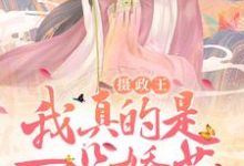 男女主人公叫楚青衣萧绝的小说免费资源-书格格