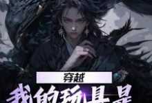 在线寻找穿越:我的玩具是天材地宝小说的无删减版本-书格格