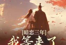 暗恋三年,我等来了命定姻缘小说全文阅读需要付费吗?寻找免费资源-书格格